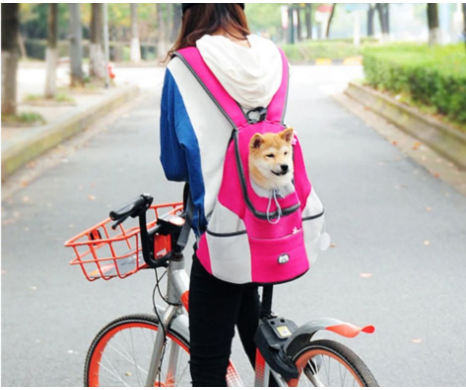 BackpackDog™ - Sac à dos de transport pour animaux de compagnie - Mycharmingdog