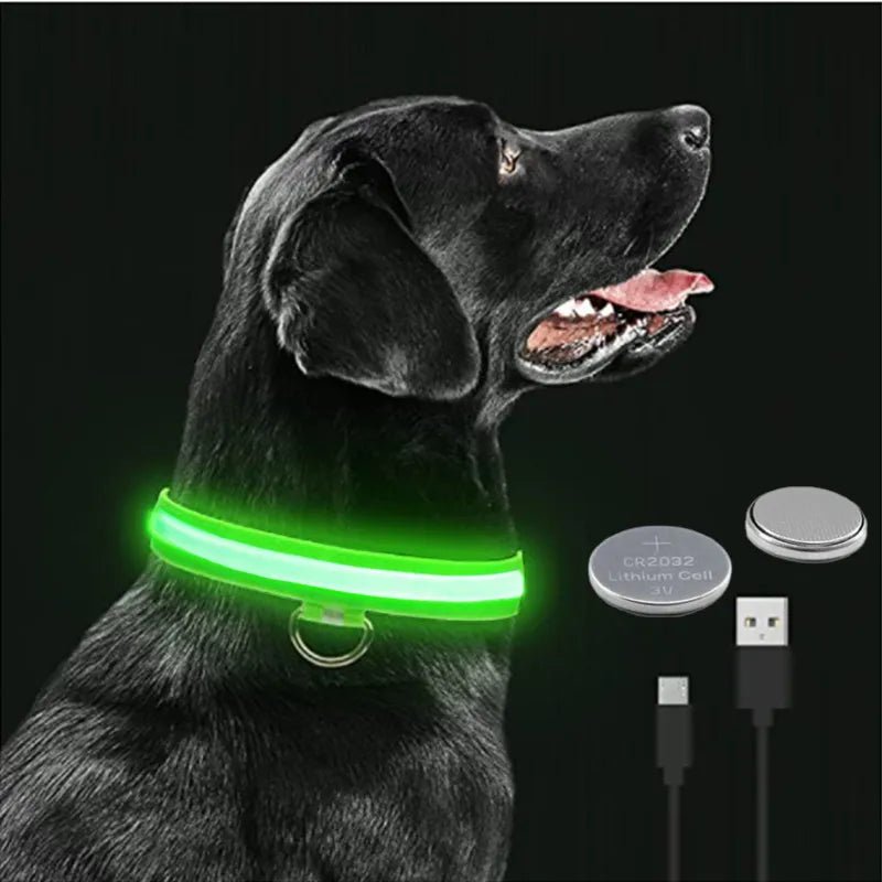 COLLIER LED VISION NOCTURNE SEENDOG™ - Mycharmingdog