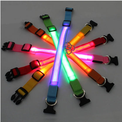 COLLIER LED VISION NOCTURNE SEENDOG™ - Mycharmingdog