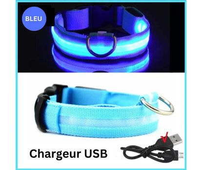 COLLIER LED VISION NOCTURNE SEENDOG™ - Mycharmingdog