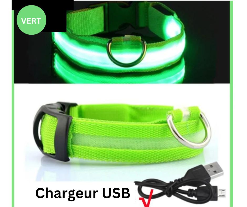 COLLIER LED VISION NOCTURNE SEENDOG™ - Mycharmingdog