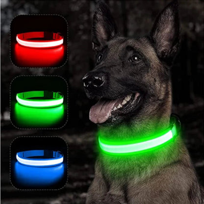 COLLIER LED VISION NOCTURNE SEENDOG™ - Mycharmingdog