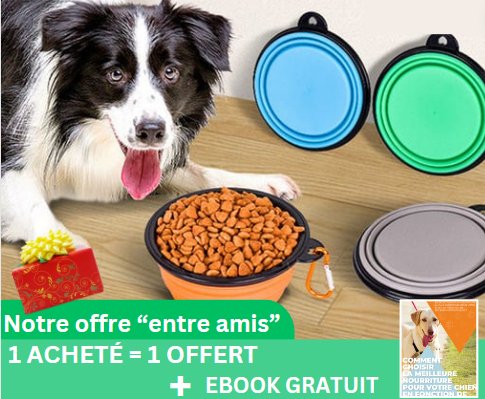 Gamelle pliable speciale voyages et randonnées - Mycharmingdog